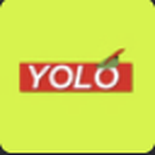 YOLO logo
