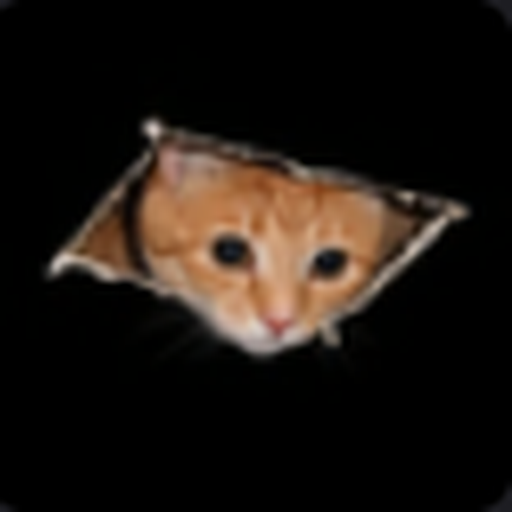 Ceiling Cat logo