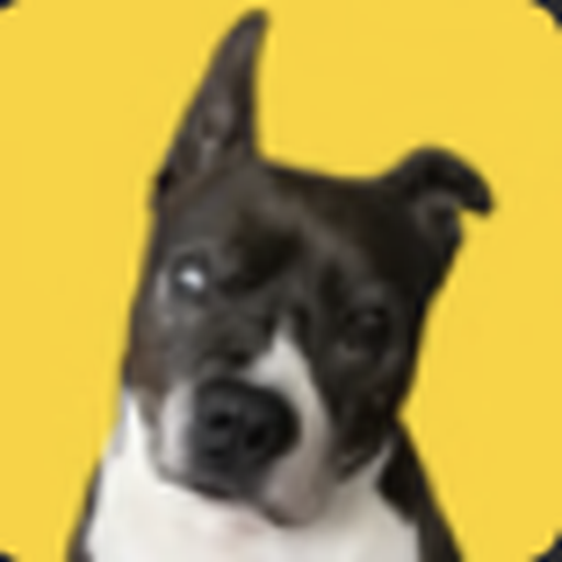 The Peptide Dog logo